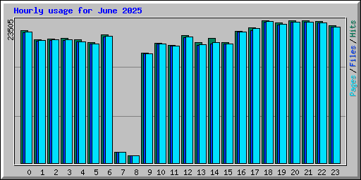 Hourly usage for June 2025