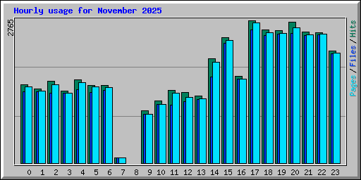 Hourly usage for November 2025